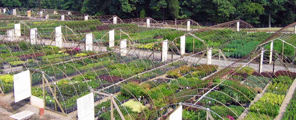 Turtle Creek Nursery - Specialty Plants and Landscaping Supplies